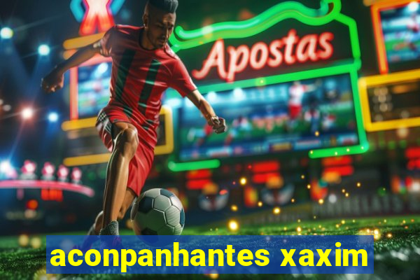 aconpanhantes xaxim